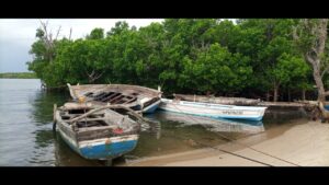 From-Tsunami-to-Sustainability-Jimbo-Villages-Journey-of-Resilience